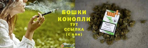спиды Арсеньев