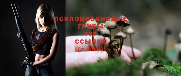 мяу мяу мука Алексин