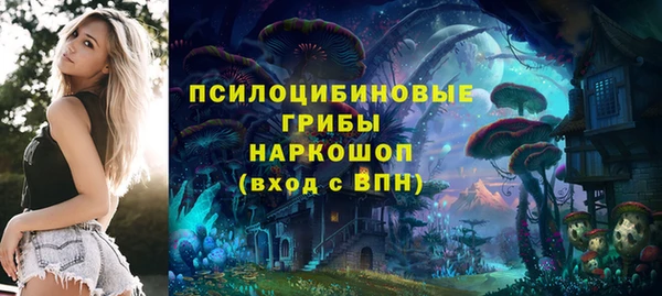 эйфоретик Аркадак