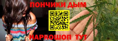 сатива Кингисепп