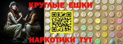 сатива Кингисепп