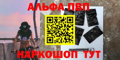 сатива Кингисепп