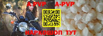сатива Кингисепп