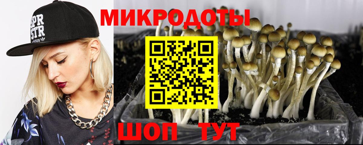 Псилоцибиновые грибы GOLDEN TEACHER Лянтор